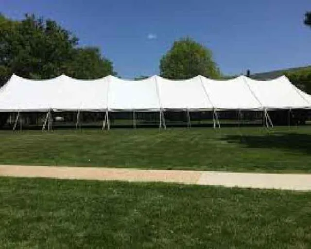 Pole Tent 30' x 100' White