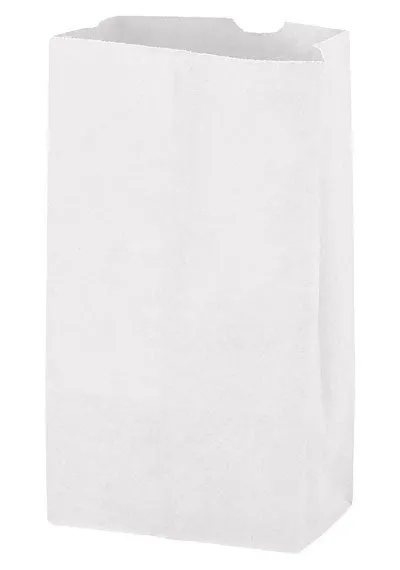 Wholesale White Kraft 6# Grocery Bag - 6G6W