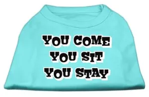 You Come, You Sit, You Stay Screen Print Shirts Aqua XL (16)